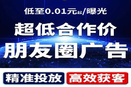 SEM代运营案例分析：精准投放策略解析
